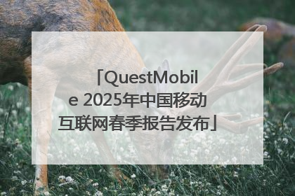 QuestMobile 2025年中国移动互联网春季报告发布